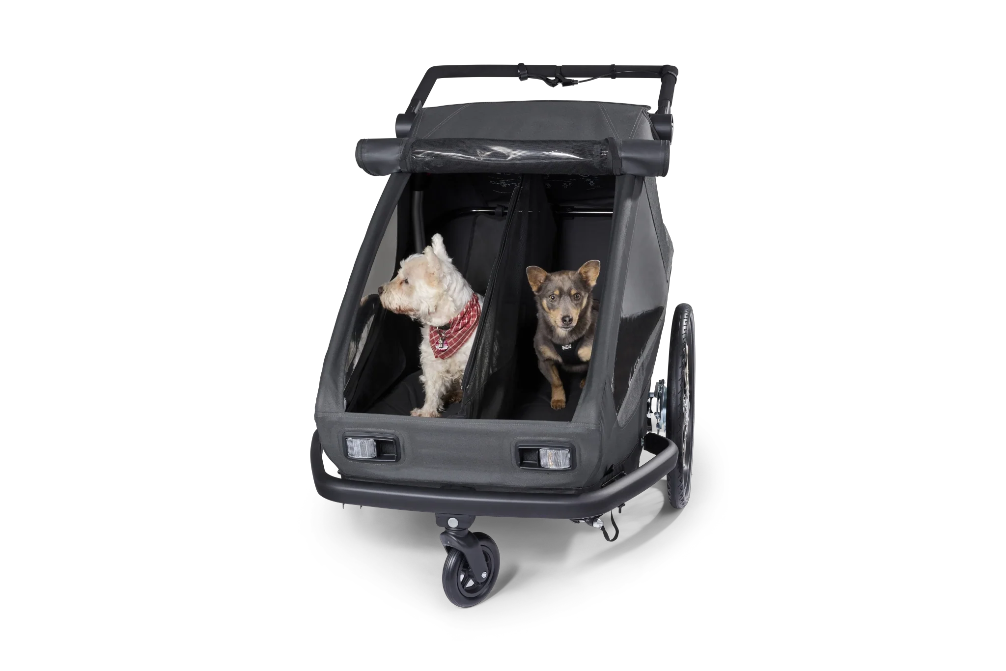 Yuuna Dog Module - Image 14